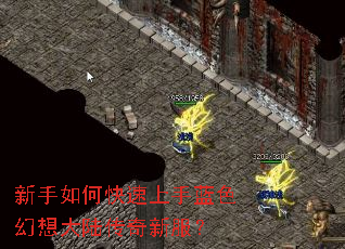 新手如何快速上手蓝色幻想大陆传奇新服? 新手如何快速上手蓝色幻想大陆传奇新服?