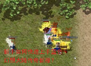 新手如何快速上手蓝色幻想大陆传奇新服? 新手如何快速上手蓝色幻想大陆传奇新服?