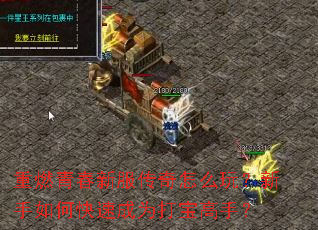 重燃青春新服传奇怎么玩?新手如何快速成为打宝高手? 重燃青春新服传奇怎么玩?新手如何快速成为打宝高手?