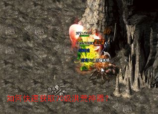 ��ο��ٻ�ȡ70�����������