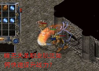 �����쵥ְҵ�淨��ο�������ս����
