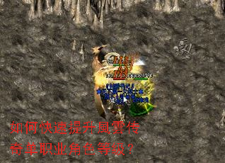 ��ο��������L녴��浥ְҵ��ɫ�ȼ���