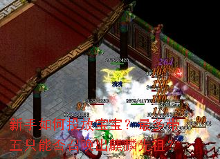 �������Ͷ�ű�����������ֻ�ܷ��ٻ����������棿