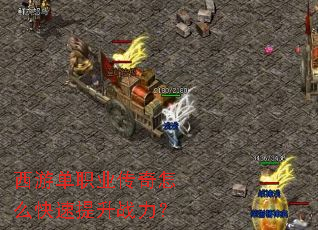 ���ε�ְҵ������ô��������ս����
