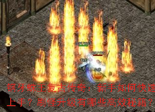 �����������Ŵ��棺������ο������֣�ˢ����������Щ��Ч�ؼ���