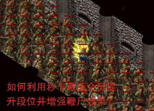 ��������뿨�����Ա������λ����ǿ��ʬЧ����