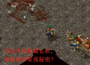 �귨��½����������˭���ƽ���ǿ���ܣ�