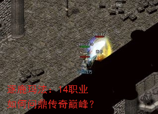 ��¹�귨��14ְҵ����ʶ������۷壿