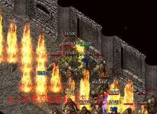 ��֮�ٵ�ְҵ��·����ô�죿