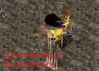 ��ʧ�������°汾����Щʵ���������ɣ�
