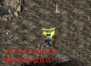 ��ʧ�������°汾����Щʵ���������ɣ�