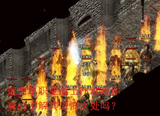 ��ʧ��ְҵ��ʿPK����������˽���ֲ�֮����