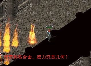 ����̿ͺϻ��������������Σ�