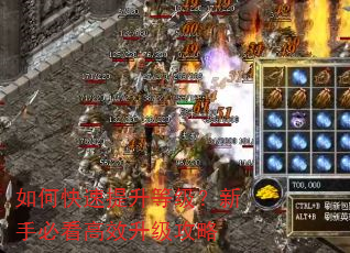 如何快速提升等级?新手必看高效升级攻略 如何快速提升等级?新手必看高效升级攻略