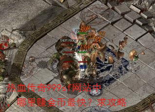 热血传奇999sf网站中,哪里赚金币最快?求攻略 热血传奇999sf网站中,哪里赚金币最快?求攻略