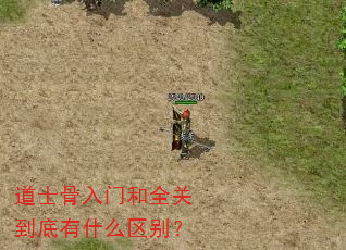 道士骨入门和全关到底有什么区别? 道士骨入门和全关到底有什么区别?