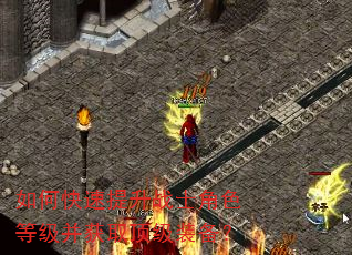 如何快速提升战士角色等级并获取顶级装备? 如何快速提升战士角色等级并获取顶级装备?