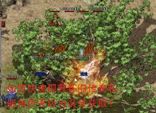 如何快速提升怀旧传奇私服角色等级与装备获取? 如何快速提升怀旧传奇私服角色等级与装备获取?