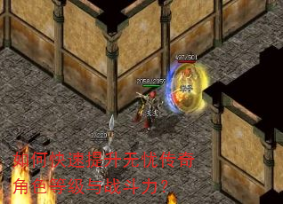 如何快速提升无忧传奇角色等级与战斗力? 如何快速提升无忧传奇角色等级与战斗力?