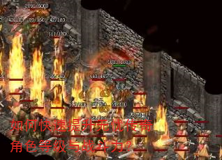 如何快速提升无忧传奇角色等级与战斗力? 如何快速提升无忧传奇角色等级与战斗力?