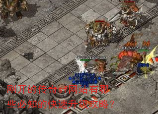 刚开的传奇sf网站有哪些必知的快速升级攻略? 刚开的传奇sf网站有哪些必知的快速升级攻略?