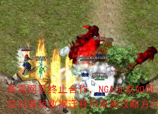 暴雪网易终止合作,NGA玩家如何应对游戏数据迁移与未来攻略方向? 暴雪网易终止合作,NGA玩家如何应对游戏数据迁移与未来攻略方向?