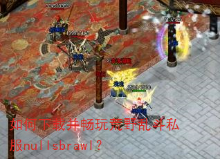 ������ز������Ұ�Ҷ�˽��nullsbrawl��