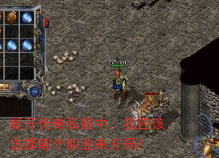 新开传奇私服中,我应该选择哪个职业来开局? 新开传奇私服中,我应该选择哪个职业来开局?