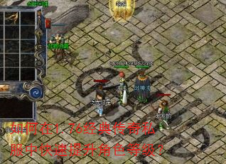 如何在1.76经典传奇私服中快速提升角色等级? 如何在1.76经典传奇私服中快速提升角色等级?