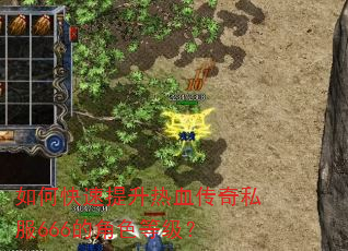 如何快速提升热血传奇私服666的角色等级? 如何快速提升热血传奇私服666的角色等级?
