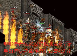 嘟嘟传奇玩家挖矿也能发财?新手如何快速掌握挖矿致富技巧? 嘟嘟传奇玩家挖矿也能发财?新手如何快速掌握挖矿致富技巧?