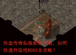 ��Ѫ����˽��������������ο���������BOSSȫ���ԣ�