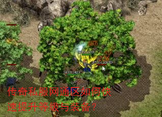 传奇私服网通区如何快速提升等级与装备? 传奇私服网通区如何快速提升等级与装备?