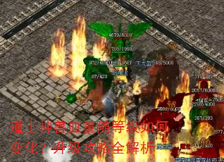 道士神兽血量随等级如何变化?升级攻略全解析 道士神兽血量随等级如何变化?升级攻略全解析