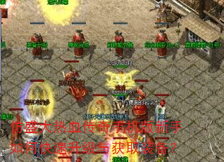 仿盛大热血传奇手机版新手如何快速升级与获取装备? 仿盛大热血传奇手机版新手如何快速升级与获取装备?