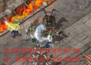 如何快速提升传奇游戏角色等级?麒麟传世新手攻略全解析 如何快速提升传奇游戏角色等级?麒麟传世新手攻略全解析