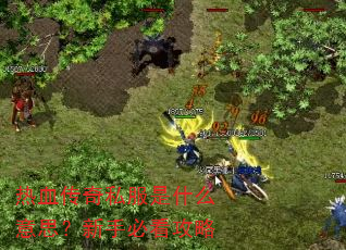 热血传奇私服是什么意思?新手必看攻略 热血传奇私服是什么意思?新手必看攻略
