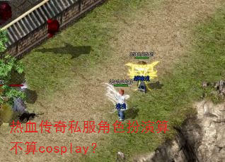 热血传奇私服角色扮演算不算cosplay? 热血传奇私服角色扮演算不算cosplay?