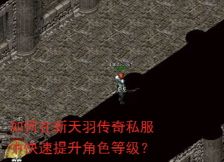 如何在新天羽传奇私服中快速提升角色等级? 如何在新天羽传奇私服中快速提升角色等级?