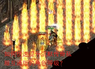 如何快速提升沉默传奇私服互通版的角色等级? 如何快速提升沉默传奇私服互通版的角色等级?