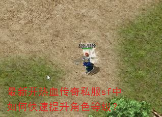 最新开热血传奇私服sf中如何快速提升角色等级? 最新开热血传奇私服sf中如何快速提升角色等级?