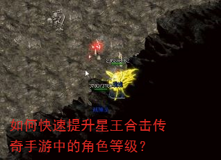 如何快速提升星王合击传奇手游中的角色等级? 如何快速提升星王合击传奇手游中的角色等级?
