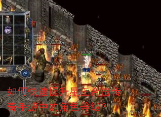 如何快速提升星王合击传奇手游中的角色等级? 如何快速提升星王合击传奇手游中的角色等级?