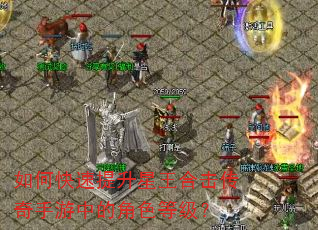 如何快速提升星王合击传奇手游中的角色等级? 如何快速提升星王合击传奇手游中的角色等级?