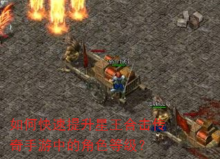 如何快速提升星王合击传奇手游中的角色等级? 如何快速提升星王合击传奇手游中的角色等级?