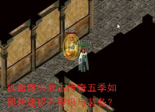 ��Ѫ��ʧ���Ŵ����弾��ο��������ȼ���װ����