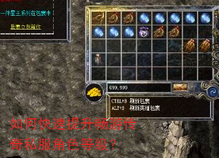 如何快速提升畅游传奇私服角色等级? 如何快速提升畅游传奇私服角色等级?