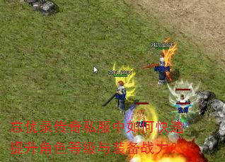 忘忧录传奇私服中如何快速提升角色等级与装备战力? 忘忧录传奇私服中如何快速提升角色等级与装备战力?