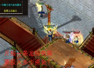 ����һ����������ҪͶ������ʽ�