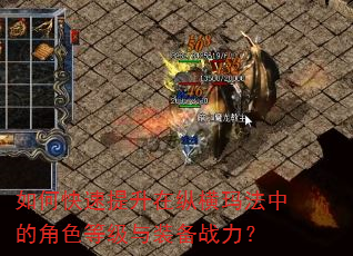 如何快速提升在纵横玛法中的角色等级与装备战力? 如何快速提升在纵横玛法中的角色等级与装备战力?